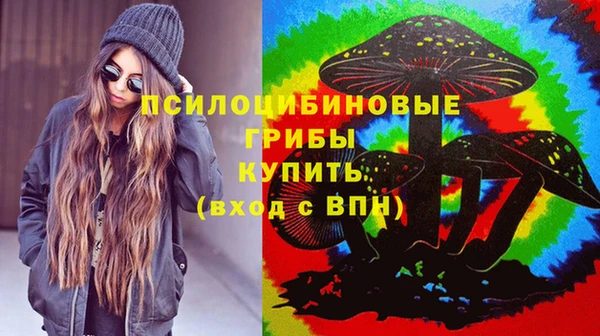 сатива Алзамай