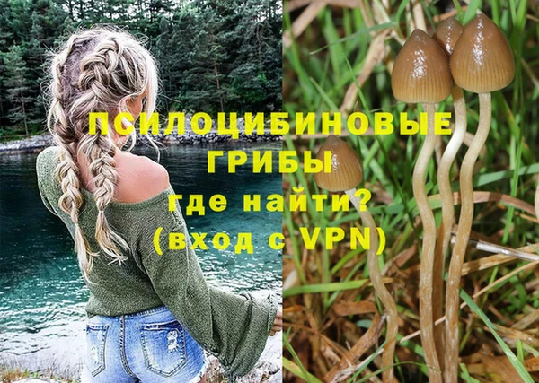сатива Алзамай