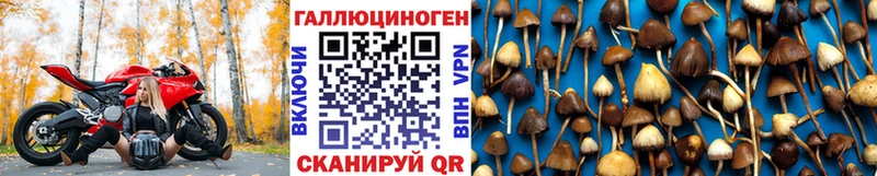 мега зеркало  это клад  Сельцо  Псилоцибиновые грибы Magic Shrooms  купить  цена 